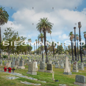 Cemetery DSC_4340