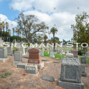 Cemetery DSC_4342