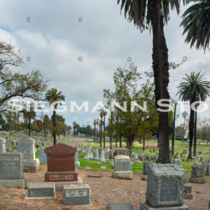Cemetery DSC_4344