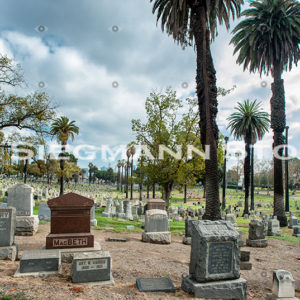 Cemetery DSC_4345