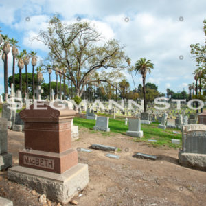 Cemetery DSC_4346